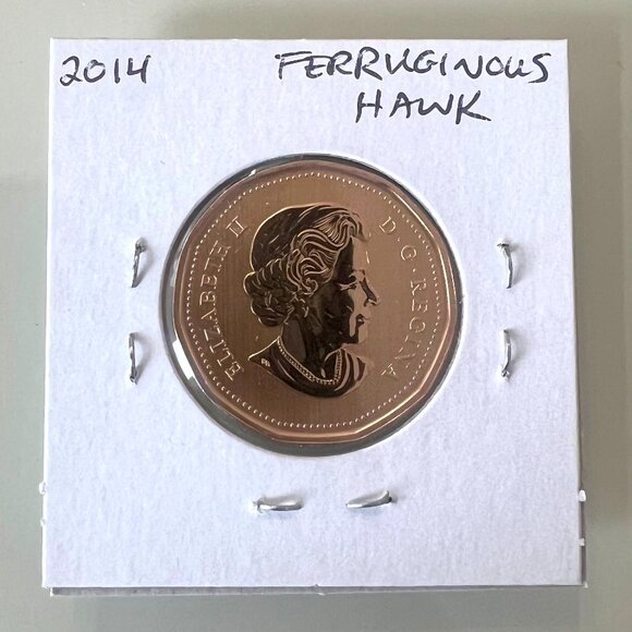 2014, 2014, 2015 and 2015 Canada Special Edition Specimen $1 Dollar Loonies! - Picture 6 of 10